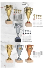Puchary i statuetki we Wrocawiu